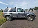 2007 Ford Escape XLT