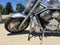 2003 Harley-Davidson V-Rod V-Rod