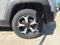 2021 Jeep Renegade Trailhawk